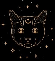 Personal Consultation